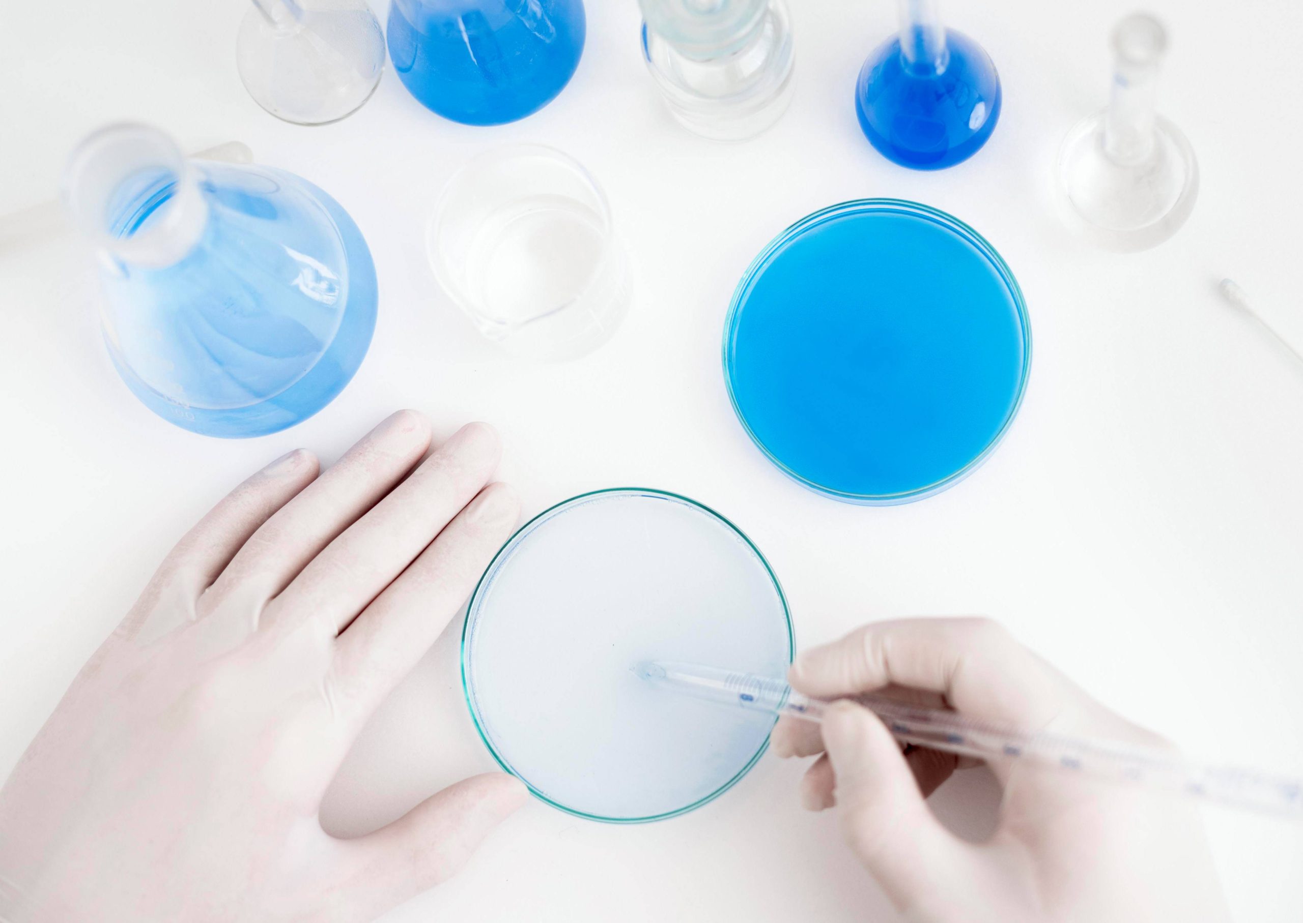 Tratamiento de sustancias químicas en placa de petri