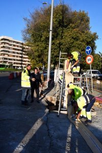 García-Ibarrola, en una obra de mantenimiento de redes